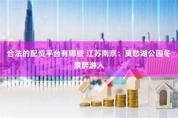 合法的配资平台有哪些 江苏南京：莫愁湖公园冬景醉游人
